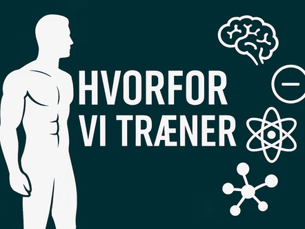 Hvorfor vi træner