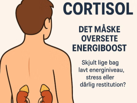 Cortisol