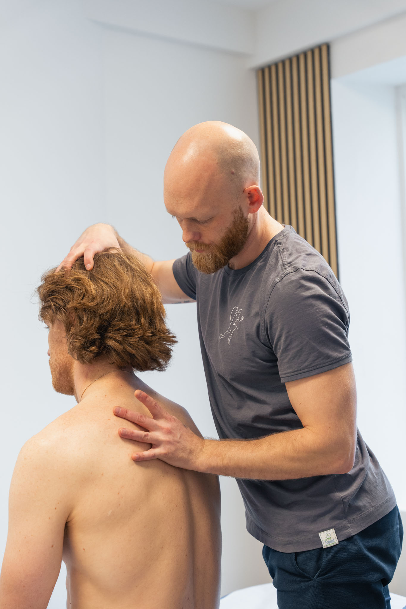 Det viscerale system - Osteopati